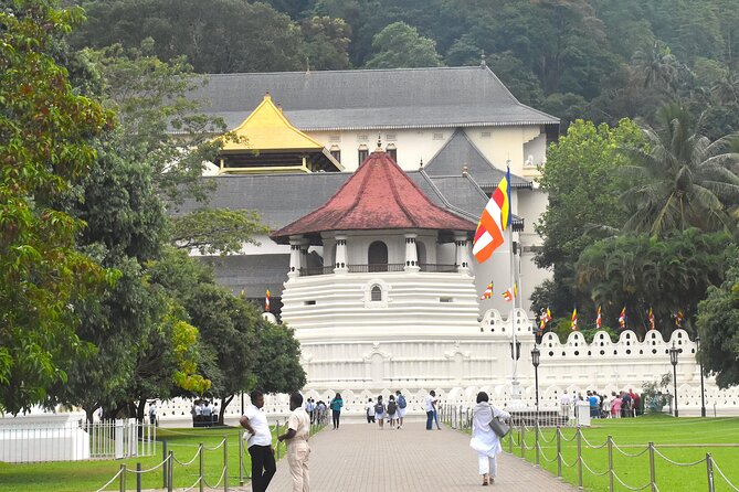 7 Days Classical Tour to Sri Lanka - Polonnaruwa ruins: free admission makes this stop even better