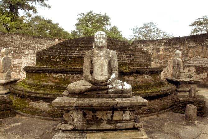 7 Days Classical Tour to Sri Lanka - Royal Botanical Gardens and Nuwara Eliya: a short shift into hill-country culture