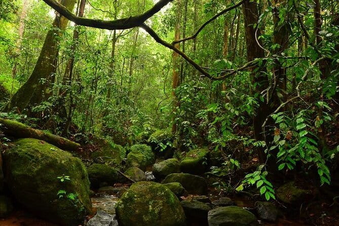 7 Days Private Guided Tour in Sri Lanka - Day 3: Temple of the Sacred Tooth Relic, Botanical Gardens, and Waterfalls