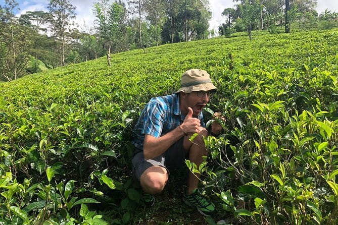 7 Days Sri Lanka Tour Chauffeur Wildlife and Heritage Adventure - Day 6 and 7: Galle Fort, Mirissa beach time, then whales watching