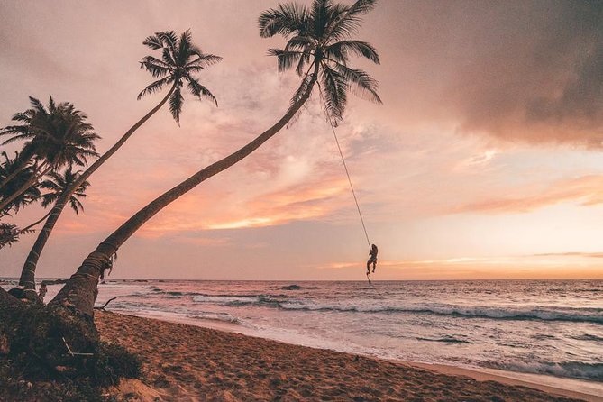 7 Nights Private Tour Of Sri Lanka - Comfort, Setup, and the Kind of Day Flow This Tour Uses