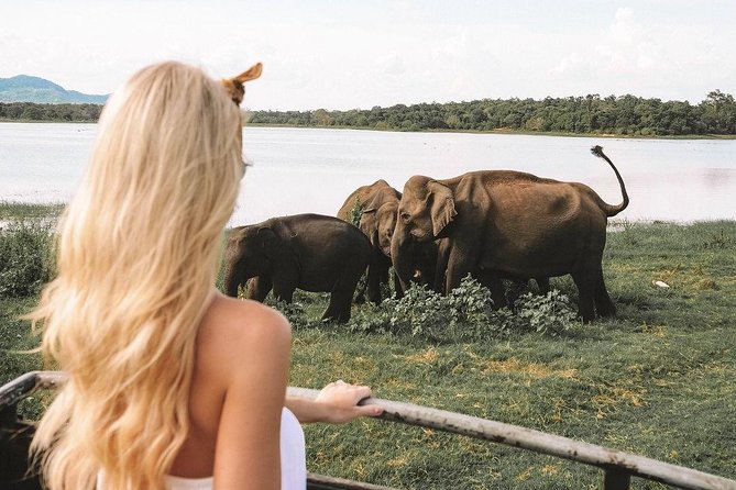 7 Nights Private Tour Of Sri Lanka - Day 3 Dambulla Caves, the Temple of the Sacred Tooth Relic, Kandy Shows, and Gems
