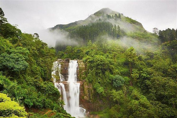 7 Nights Private Tour Of Sri Lanka - Day 4 Peradeniya Botanical Gardens to Nuwara Eliya Tea Country