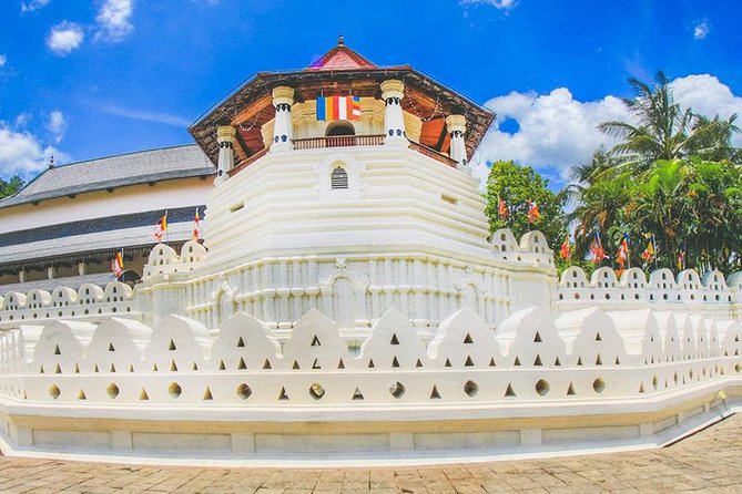 7 Nights Private Tour Of Sri Lanka - Day 6 Hill Country to the Southern Coast: Waterfall Stops and Beach Relaxation