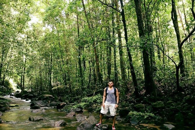 8 Day Private Tour Sri Lanka with Wildlife & Outdoor Experiences from Colombo - Day 5 Ella area hikes: Ella Rock, Little Adam’s Peak, and Ravana Falls