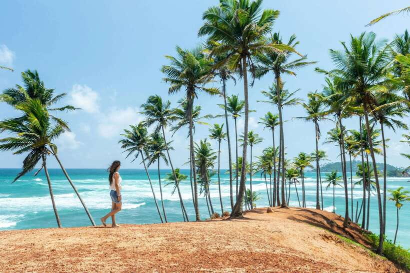 8-Day Sri Lanka Private Round Tour Hotels, Meals, Car, Guide - Day 1: Colombo to Sigiriya, Dambulla Golden Cave, and an Evening Safari