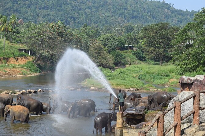 8 Days Adventure Tour with Chauffeur and Air-condition Vehicle - Ella Icons: Mini Adam’s Peak, Nine Arch Bridge, and Rawana Falls