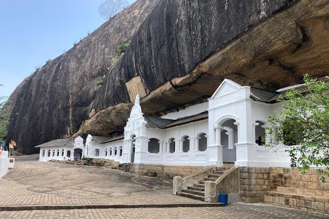 8-days Culture Triangle Tour - Day 5 Peradeniya Royal Botanical Gardens and Pinnawala Elephant Orphanage: slow walks plus animal care