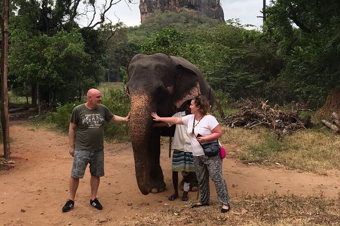 8 Days Private Guided Tour in Sri Lanka with accommodation (BB) - Price and what $890 really covers on this 8-day route