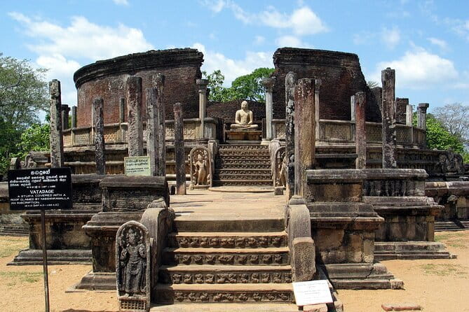 9 Days Guided Tour Through Sri Lanka - Yala National Park: the morning jeep drive that changes the trip