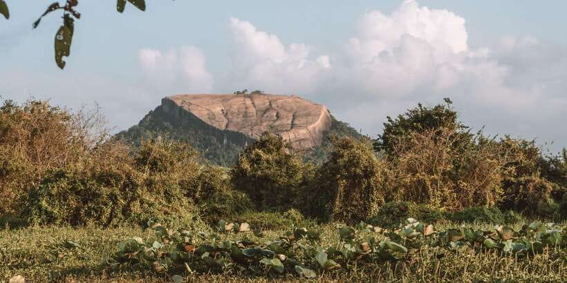 A Hidden Gem in Sigiriya: Magical Boat Journey. - Getting there from Back of Beyond, with a quick tuk-tuk ride