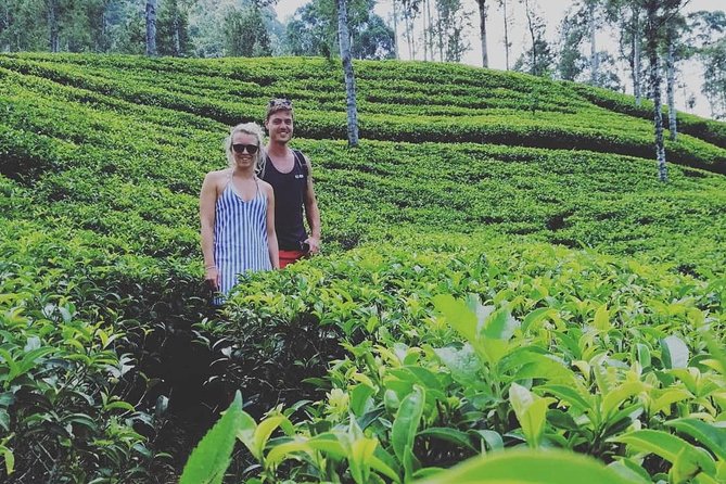 Adam's peak (Sri pada) Waterfalls tour - How to combine this with the Adam’s Peak hike for that full classic day