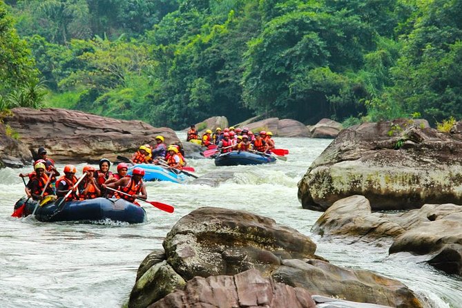 Adventure Experience N in Kitulgala - Safety Gear and a Professional Guide Who Keeps the Day on Track