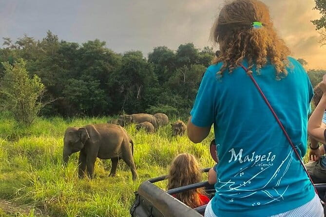 Adventure safari Experience in Hurulu Eco Park, Sri Lanka - Key highlights before you go