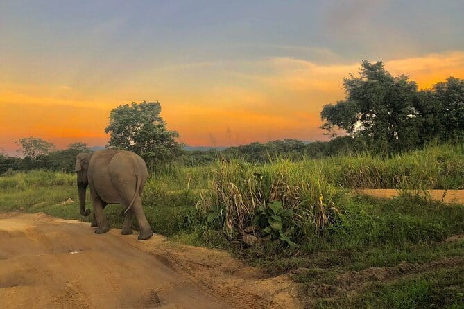 Adventure safari Experience in Hurulu Eco Park, Sri Lanka - Why Hurulu Eco Park makes sense for an adventure elephant safari