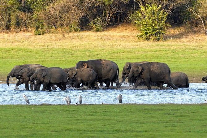 Adventure safari Experience in Hurulu Eco Park, Sri Lanka - Best time to go, and why weather can change everything