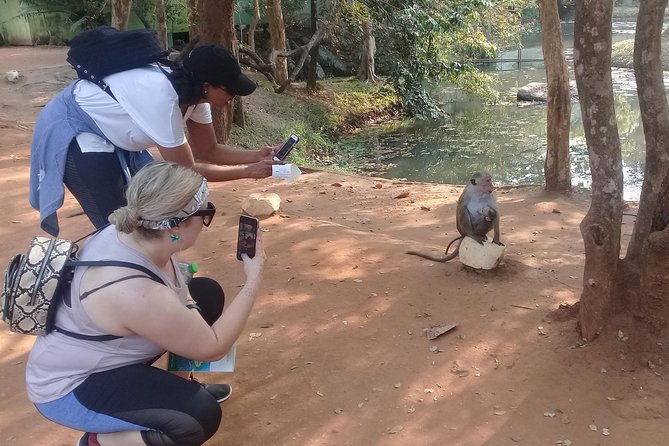 Adventure trincomalee to sigiriya and wild safari ,village tour - Pidurangala hike: the second viewpoint that adds variety