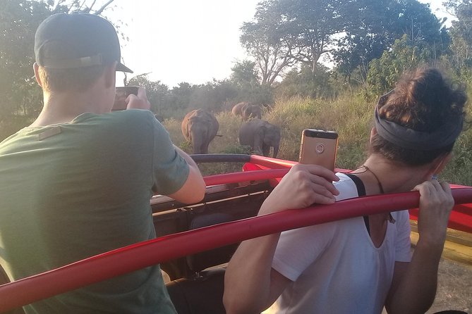 Adventure trincomalee to sigiriya and wild safari ,village tour - Wild safari timing after hikes: manage your energy