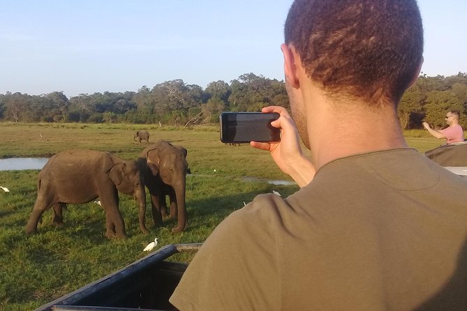 Adventure trincomalee to sigiriya and wild safari ,village tour - Village tour mention: confirm what you get on the day