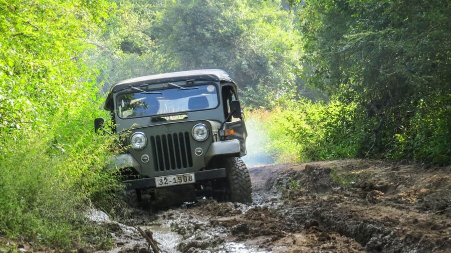 Ahangama: Udawalawe National Park Safari with Hotel Pickup - Should you book this Ahangama to Udawalawe safari?