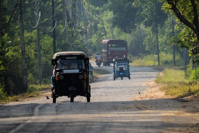 Airport Layover Colombo City tour - Why a Colombo airport layover tour beats DIY rush
