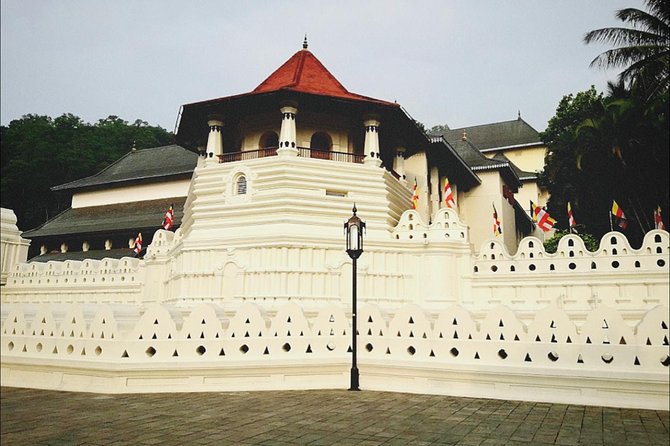 All in one Sri lanka 7nights 8 days for couple price - A Private Sri Lanka Circuit With Sigiriya as the Anchor