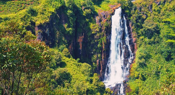 All in one Sri lanka 7nights 8 days for couple price - Nuwara Eliya and Kandy: Hill Country and Culture Without the Guesswork