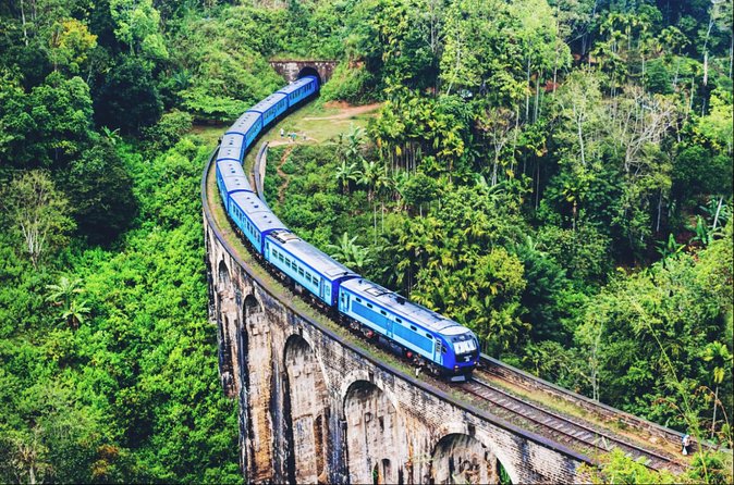 All in one Sri lanka 7nights 8 days for couple price - Bentota and Colombo: Coast Time and City-Style Convenience