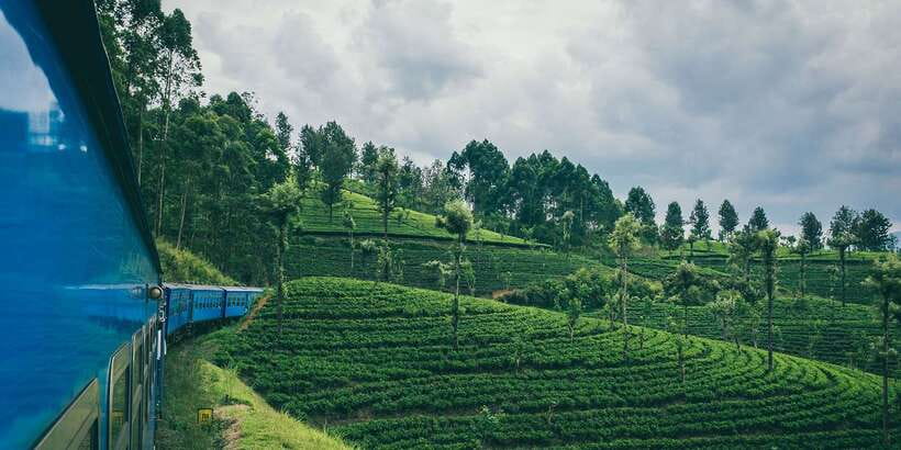 All Inclusive Ella From/To Kandy Scenic Train Journey - What you get on the train: First Class ticket, drinks, and a real snack box