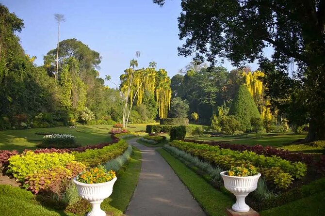 All Inclusive Kandy Private Day Tour From Colombo and Negombo - Damro Labookellie Tea Centre and Tea Gardens: How Tea Becomes Tea