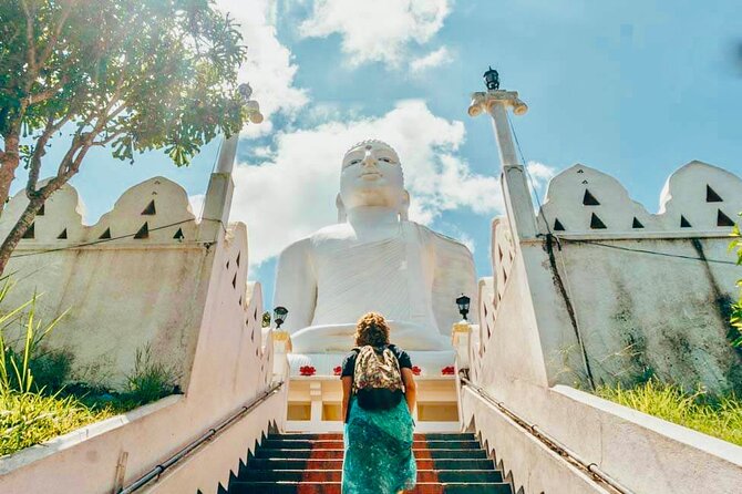 All Inclusive Kandy Private Day Tour From Colombo and Negombo - Udawattekele Sanctuary and Bahiravokanda Buddha: Nature and a Giant View