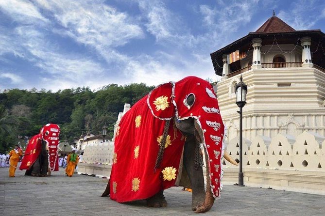 All Inclusive Kandy Private Day Tour From Colombo and Negombo - Kandy Lake, Quick City Stops, and Where to Shop Without Wasting Time