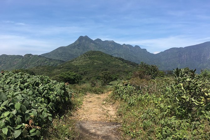 All Inclusive Knuckles Day Track With Accommodation - Key points before you go
