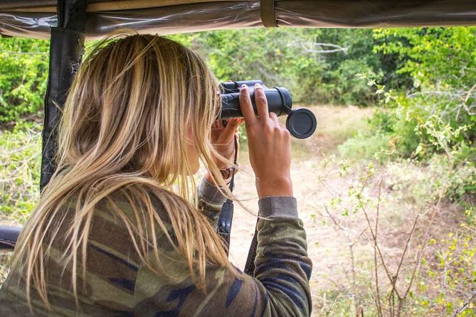 All Inclusive Leopard Nest Treehouse Safari in Yala - Your overnight at Leopard Nest: treehouse and tent comfort that still feels in the wild