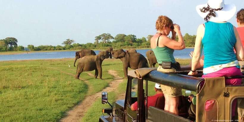 All-Inclusive Minneriya National Park Afternoon Safari - Entering Minneriya National Park, why the afternoon works