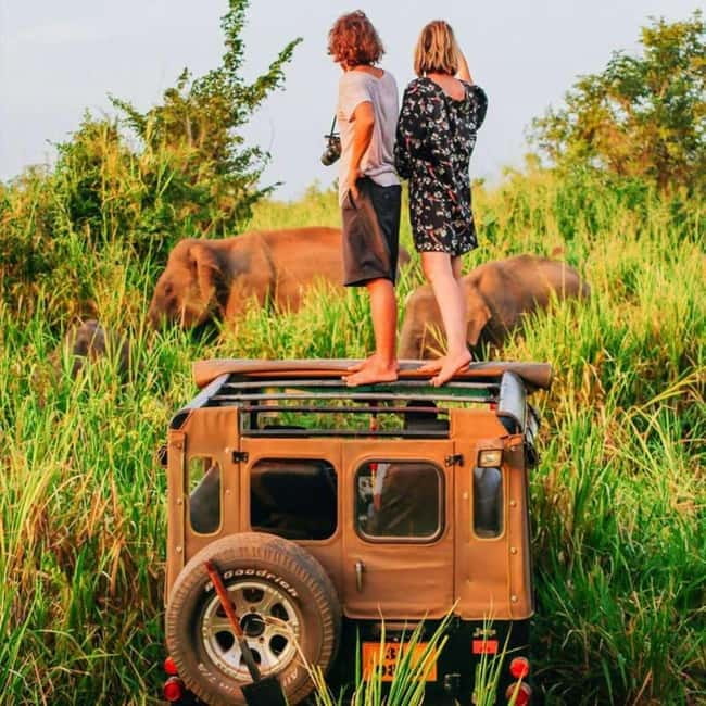 All-Inclusive Minneriya National Park Afternoon Safari - Park size in real life, how the drive actually feels
