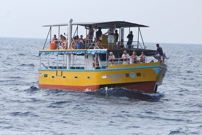 All Inclusive Mirissa Whale and Dolphin Watching Boat Ride - Key things to know before you go