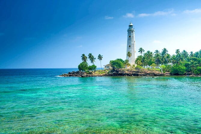 All Inclusive Mirissa Whale and Dolphin Watching Boat Ride - Whale and dolphin spotting, what you are really signing up for