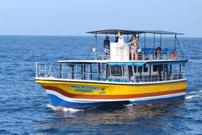 All Inclusive Mirissa Whale and Dolphin Watching Boat Ride - Price and value: is $90 per person worth it?