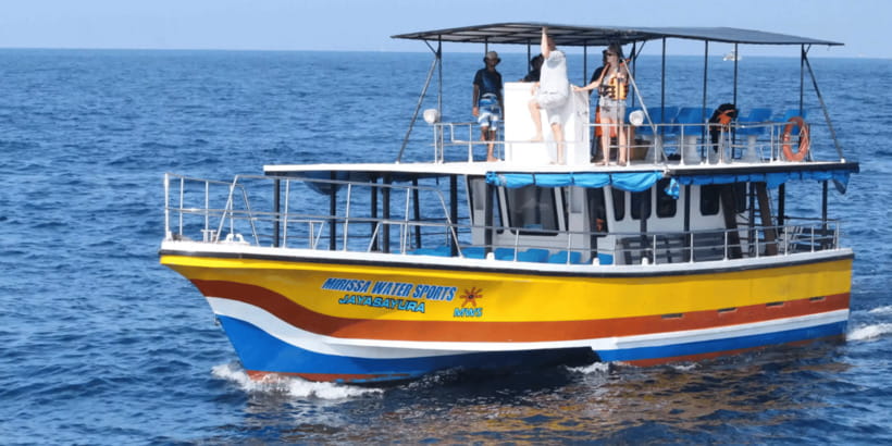 All Inclusive Mirissa Whale & Dolphin Watching + Snorkeling - Key Points Before You Go