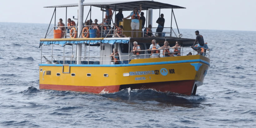 All Inclusive Mirissa Whale & Dolphin Watching + Snorkeling - Kotapola and Mirissa at Dawn, Why the Timing Matters