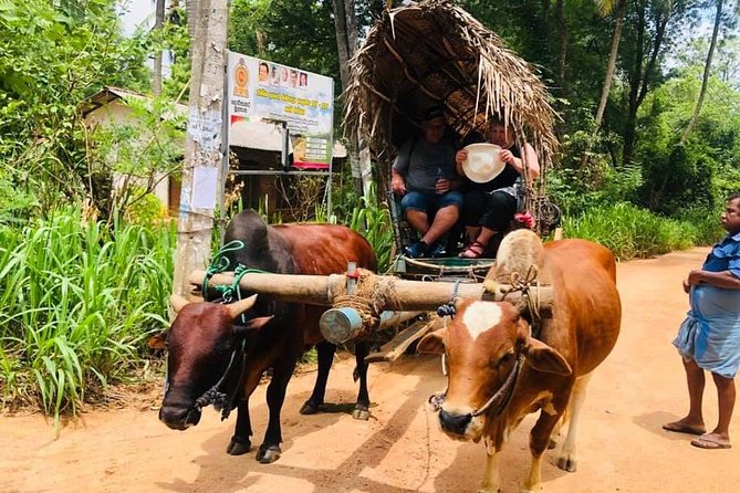 All inclusive Private Day tour Sigiriya, Dambulla & traditional village tour - Lunch at Oak Ray Restaurant in Inamaluwa: a real break from sightseeing
