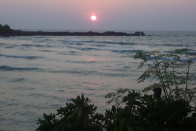 All inclusive Private Day trip to Southern Srilanka Galle, Bentota - Lunch and timing: the day stays door-to-door