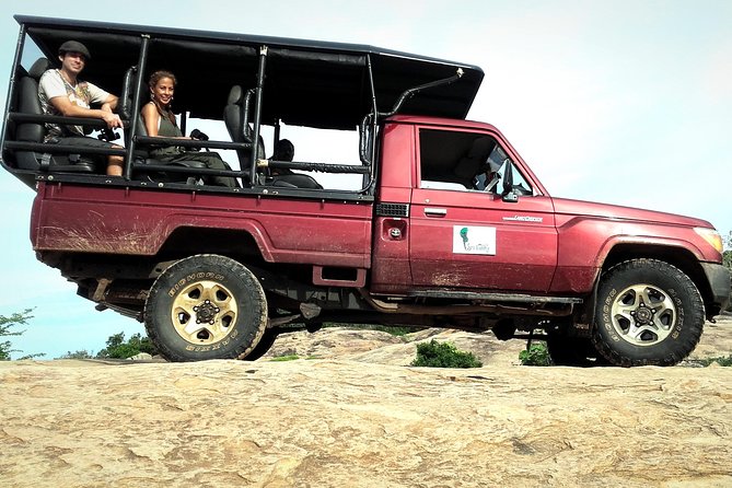 All Inclusive Private Full Day Safari in Yala National Park with Lunch - How the Full Day Really Flows (And Why That Matters)