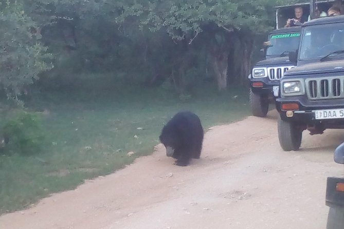 All inclusive Private jeep safari at Yala National park - Quick highlights