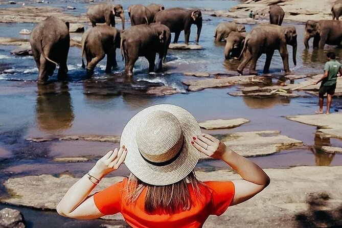 All-Inclusive Private tour in Sri Lankan Island 9 Day HB hotels - Key things worth knowing before you go