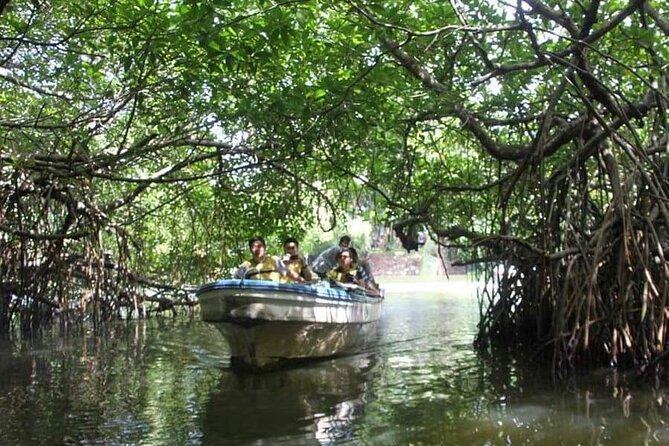 All-Inclusive Private tour in Sri Lankan Island 9 Day HB hotels - Dambulla and Pidurangala: cave temples plus a rock-sunset climb