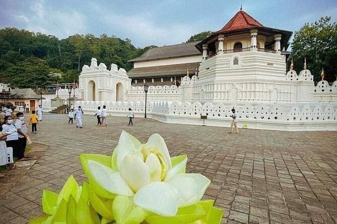 All-Inclusive Private tour in Sri Lankan Island 9 Day HB hotels - Negombo first: airport pickup, lagoon sunset options, and Wadiya fish energy