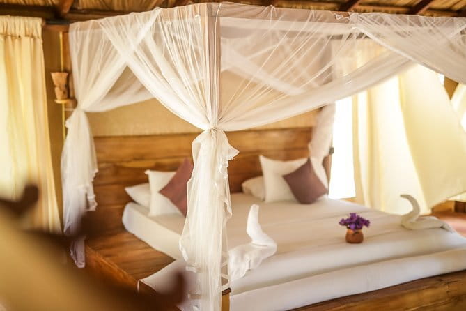 All Inclusive Tented Camping & Luxury Safari Tours in Yala Park - Campfire drinks, BBQ dinner, and the social side of glamping