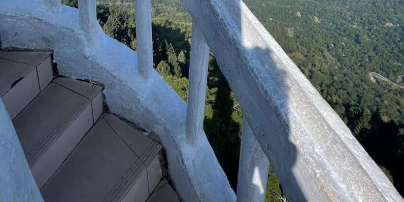 Ambuluwawa Tower & Pinnawala & Kandy Day Tour From Colombo - Peradeniya and Royal Botanical Garden: plants you’ll remember
